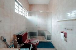 Charlton Park (D19), Terrace #496702531